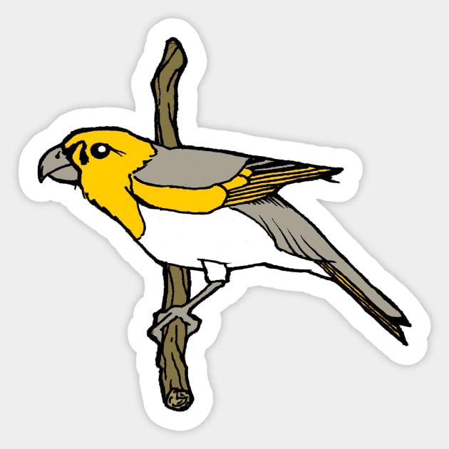 Hawaiian Palila Bird Sticker by William Gilliam